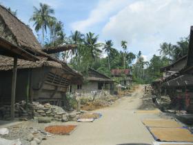 photo coins arrondis