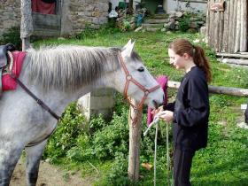 photo coins arrondis