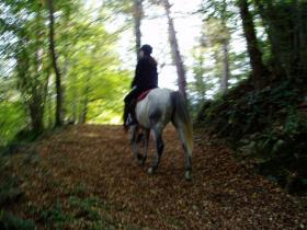 photo coins arrondis