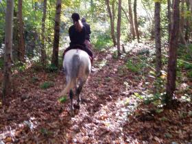 photo coins arrondis