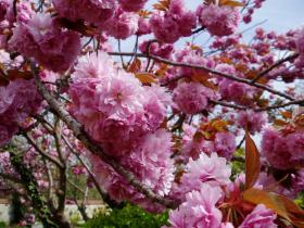 photo coins arrondis