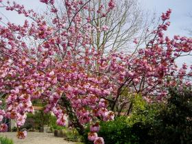 photo coins arrondis