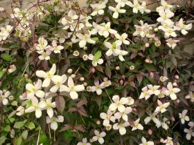 photo coins arrondis