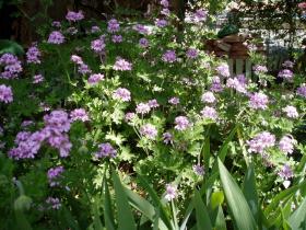 photo coins arrondis