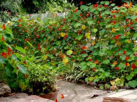 photo coins arrondis