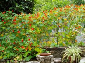 photo coins arrondis