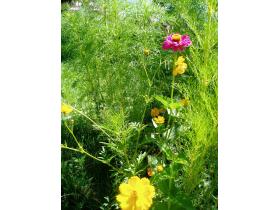 photo coins arrondis