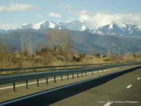 photo coins arrondis