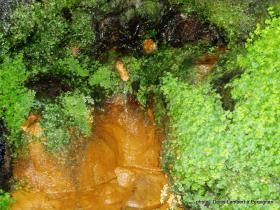 photo coins arrondis