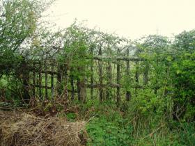 photo coins arrondis