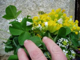 photo coins arrondis