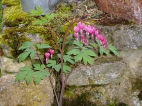 photo coins arrondis