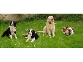 photo coins arrondis