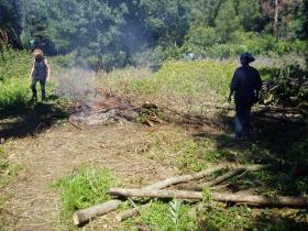 photo coins arrondis