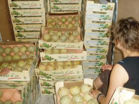 photo coins arrondis