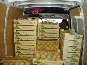 photo coins arrondis