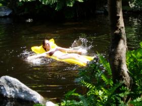 photo coins arrondis