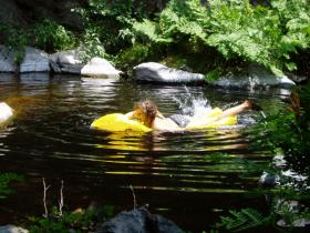 photo coins arrondis