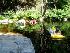 photo coins arrondis