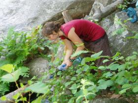 photo coins arrondis