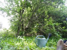 photo coins arrondis