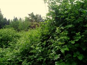 photo coins arrondis