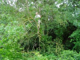 photo coins arrondis