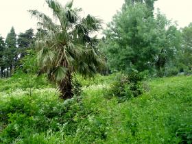 le jardin St Jacques