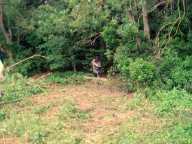 photo coins arrondis