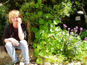 photo coins arrondis