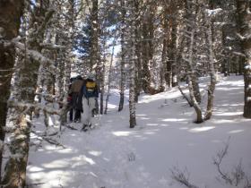 photo coins arrondis