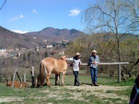 photo coins arrondis