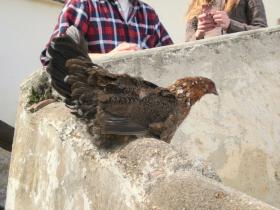 photo coins arrondis