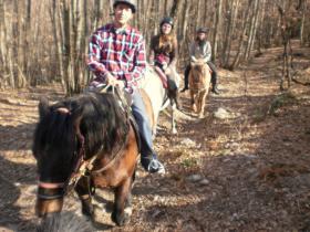 photo coins arrondis