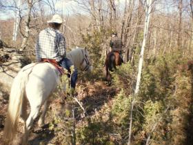 photo coins arrondis