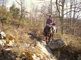 photo coins arrondis