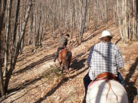 photo coins arrondis