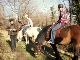 photo coins arrondis