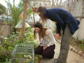 photo coins arrondis