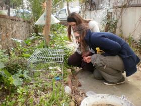 photo coins arrondis