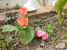 photo coins arrondis