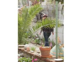 photo coins arrondis