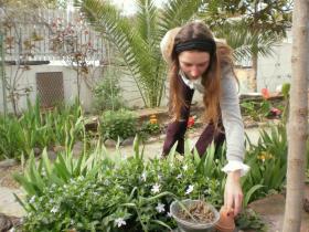 photo coins arrondis