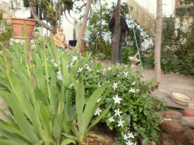 photo coins arrondis