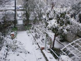 photo coins arrondis