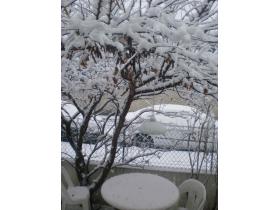 photo coins arrondis