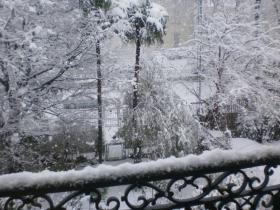 photo coins arrondis