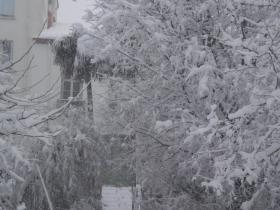 photo coins arrondis