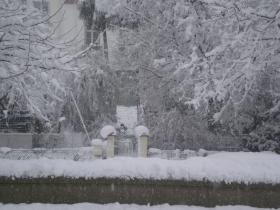 photo coins arrondis