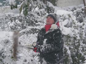 photo coins arrondis